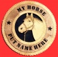 HORSE_HEAD_7.jpeg